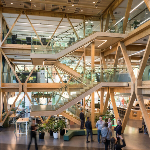 Scion Innovation Hub