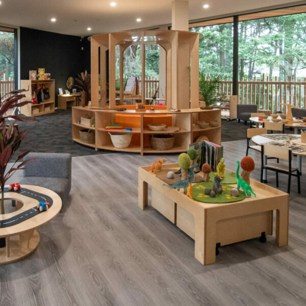 GAIA (EARTH) Forest Preschool