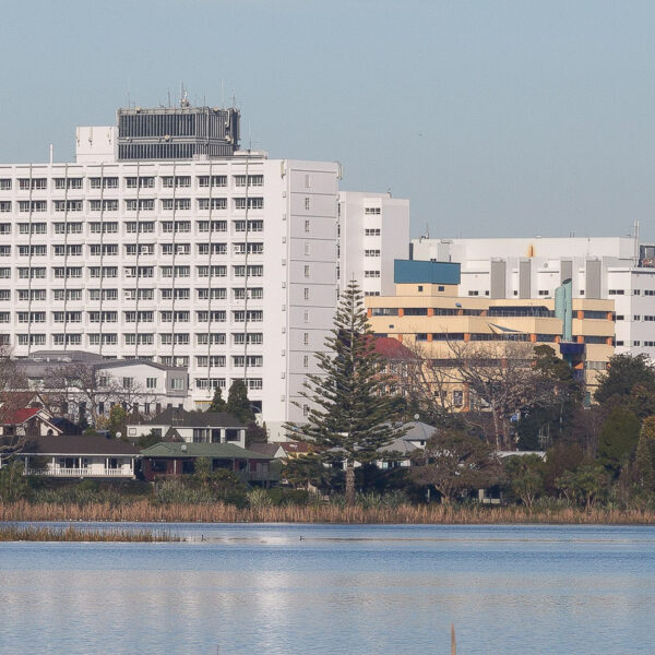 waikato hospital
